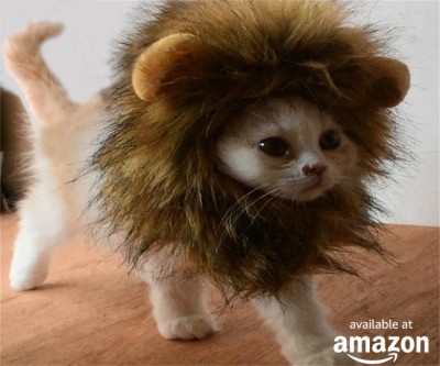 Lion Mane for Cats