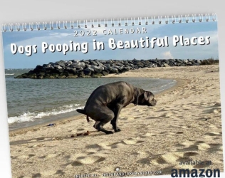 Dogs Pooping In Beautiful ...