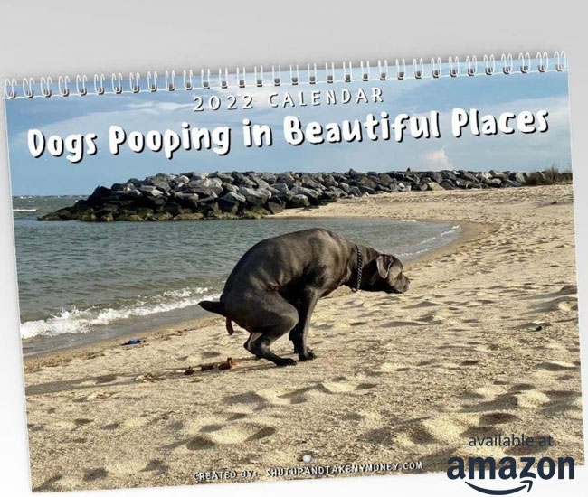 Dogs Pooping In Beautiful Places