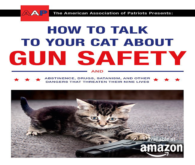 How To Talk To Your Cat About Gun Safety