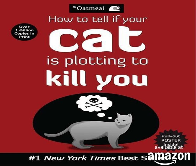 How to Tell If Your Cat Is Plotting to Kill You