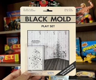 Fun with Mold Play Set