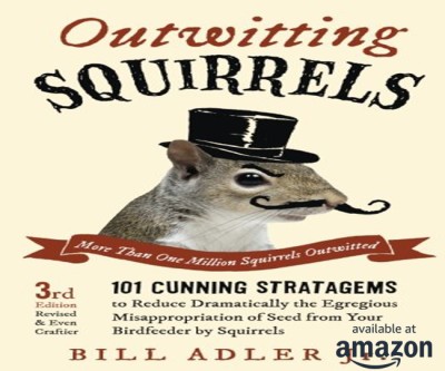 Outwitting Squirrels 101